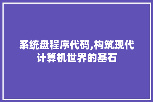系统盘程序代码,构筑现代计算机世界的基石