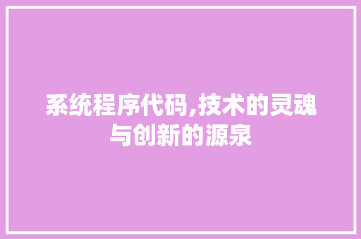 系统程序代码,技术的灵魂与创新的源泉