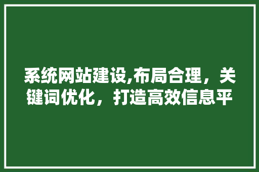 系统网站建设,布局合理，关键词优化，打造高效信息平台