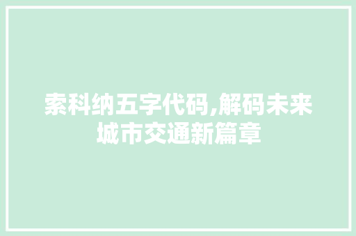 索科纳五字代码,解码未来城市交通新篇章 百度SEO
