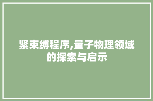 紧束缚程序,量子物理领域的探索与启示