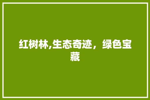 红树林,生态奇迹，绿色宝藏