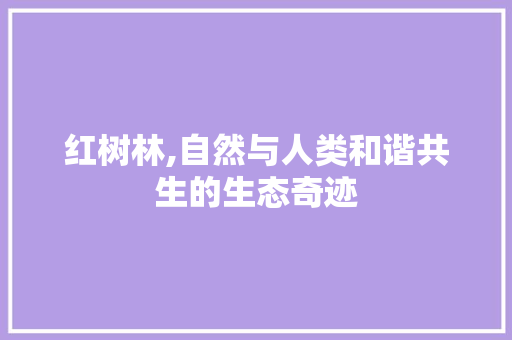 红树林,自然与人类和谐共生的生态奇迹