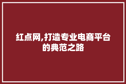 红点网,打造专业电商平台的典范之路