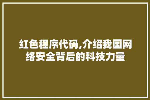 红色程序代码,介绍我国网络安全背后的科技力量