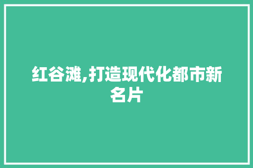 红谷滩,打造现代化都市新名片