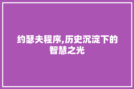 约瑟夫程序,历史沉淀下的智慧之光