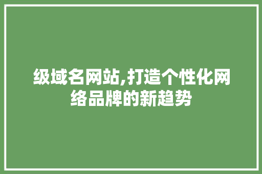 级域名网站,打造个性化网络品牌的新趋势