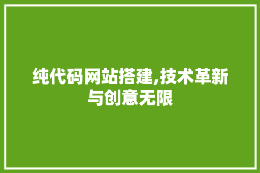 纯代码网站搭建,技术革新与创意无限