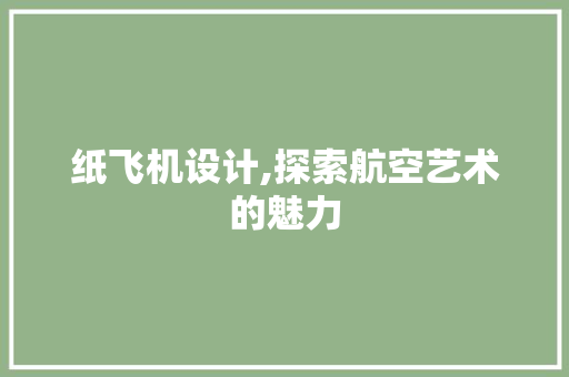 纸飞机设计,探索航空艺术的魅力