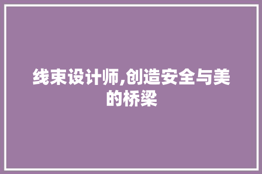 线束设计师,创造安全与美的桥梁