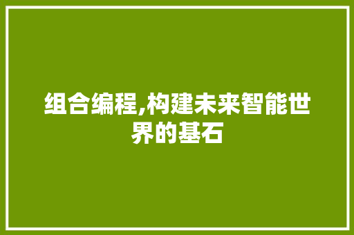 组合编程,构建未来智能世界的基石