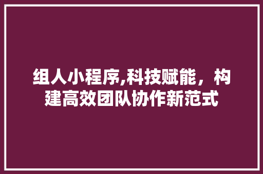 组人小程序,科技赋能，构建高效团队协作新范式