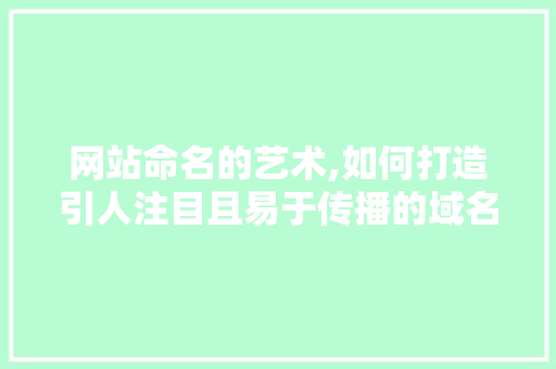 网站命名的艺术,如何打造引人注目且易于传播的域名