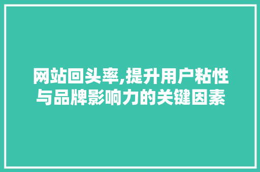 网站回头率,提升用户粘性与品牌影响力的关键因素