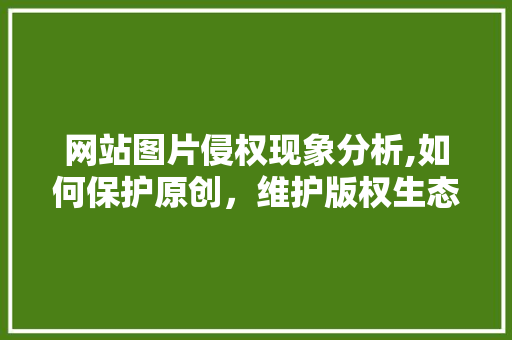 网站图片侵权现象分析,如何保护原创，维护版权生态 网站图片侵权现象分析,如何保护原创，维护版权生态 SEO关键词