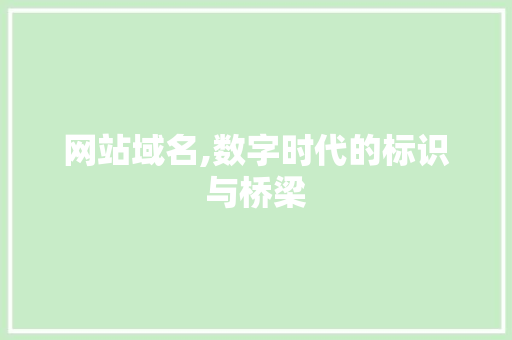 网站域名,数字时代的标识与桥梁 网站域名,数字时代的标识与桥梁 网站建设公司
