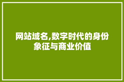 网站域名,数字时代的身份象征与商业价值 网站域名,数字时代的身份象征与商业价值 神马SEO