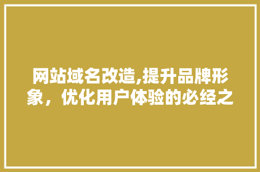 网站域名改造,提升品牌形象，优化用户体验的必经之路