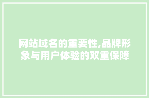 网站域名的重要性,品牌形象与用户体验的双重保障