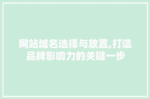 网站域名选择与放置,打造品牌影响力的关键一步