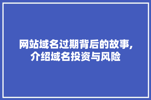 网站域名过期背后的故事,介绍域名投资与风险 网站域名过期背后的故事,介绍域名投资与风险 神马SEO