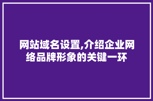网站域名设置,介绍企业网络品牌形象的关键一环