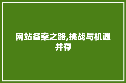 网站备案之路,挑战与机遇并存 网站备案之路,挑战与机遇并存 百度SEO