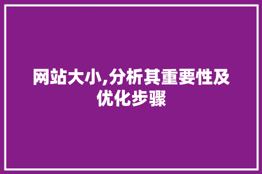 网站大小,分析其重要性及优化步骤