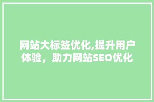 网站大标签优化,提升用户体验，助力网站SEO优化