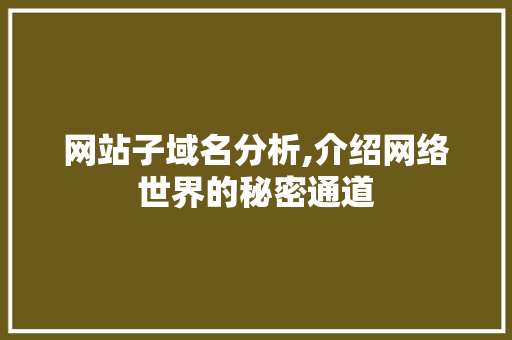 网站子域名分析,介绍网络世界的秘密通道