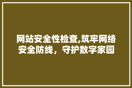 网站安全性检查,筑牢网络安全防线，守护数字家园