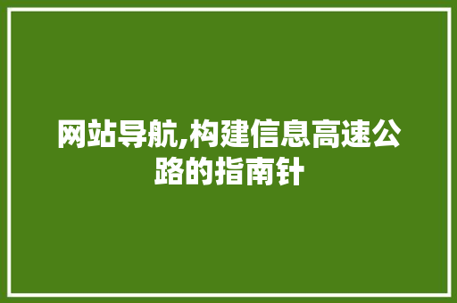 网站导航,构建信息高速公路的指南针