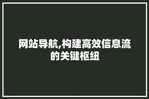 网站导航,构建高效信息流的关键枢纽