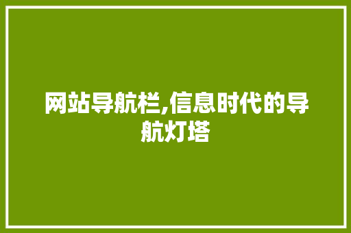 网站导航栏,信息时代的导航灯塔