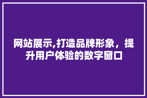 网站展示,打造品牌形象，提升用户体验的数字窗口