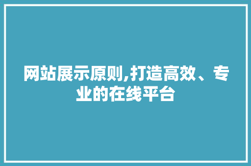 网站展示原则,打造高效、专业的在线平台