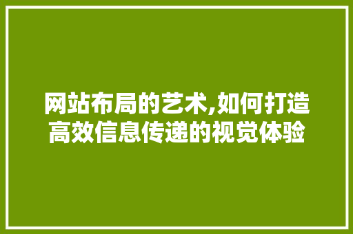 网站布局的艺术,如何打造高效信息传递的视觉体验