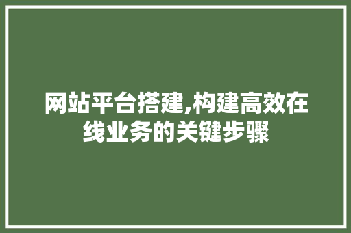 网站平台搭建,构建高效在线业务的关键步骤
