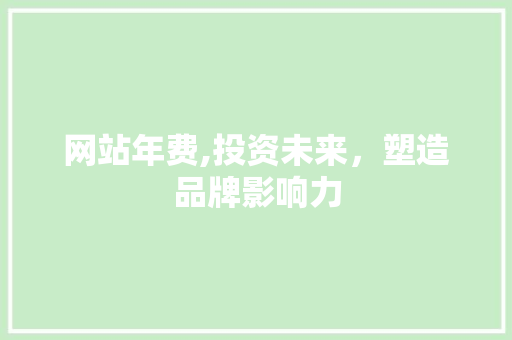 网站年费,投资未来，塑造品牌影响力