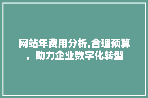 网站年费用分析,合理预算，助力企业数字化转型