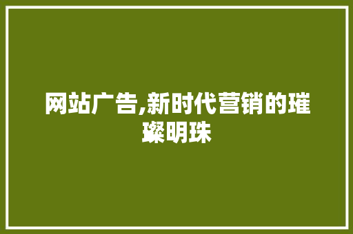 网站广告,新时代营销的璀璨明珠