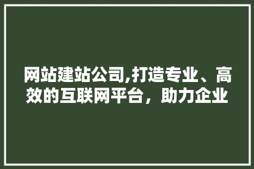 网站建站公司,打造专业、高效的互联网平台，助力企业腾飞