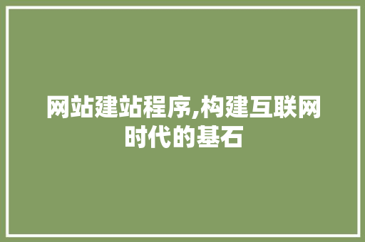 网站建站程序,构建互联网时代的基石