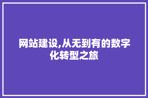 网站建设,从无到有的数字化转型之旅