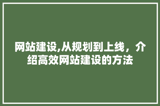 网站建设,从规划到上线，介绍高效网站建设的方法 网站建设,从规划到上线，介绍高效网站建设的方法 网站建设公司