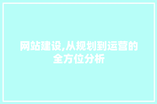 网站建设,从规划到运营的全方位分析
