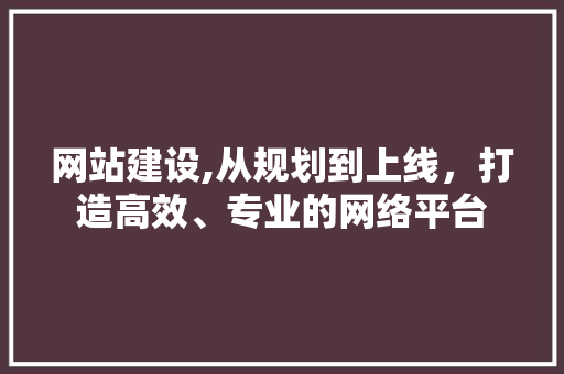 网站建设,从规划到上线，打造高效、专业的网络平台