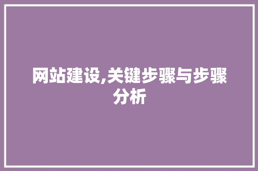 网站建设,关键步骤与步骤分析
