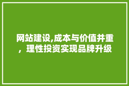 网站建设,成本与价值并重，理性投资实现品牌升级